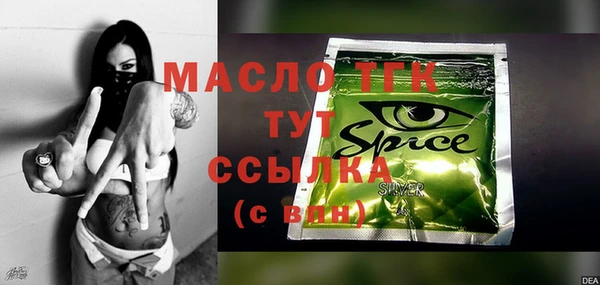 индика Аркадак