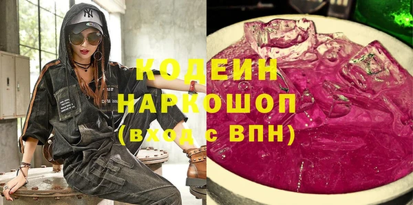 индика Аркадак