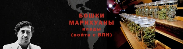 соль ск Арсеньев