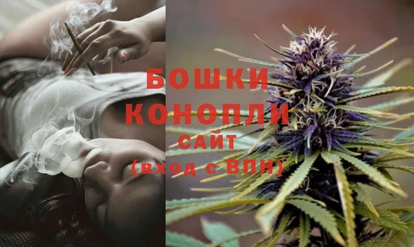 соль ск Арсеньев