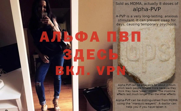 индика Аркадак