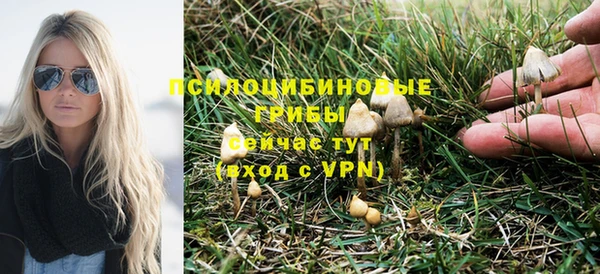 крисы Балахна
