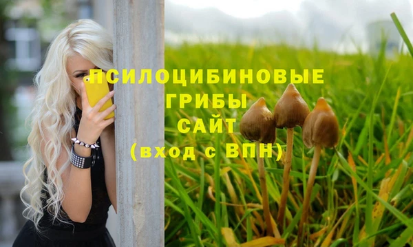 индика Аркадак