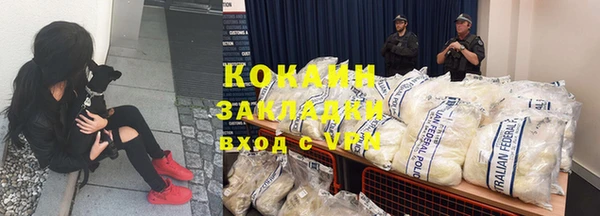 индика Аркадак