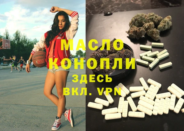 индика Аркадак