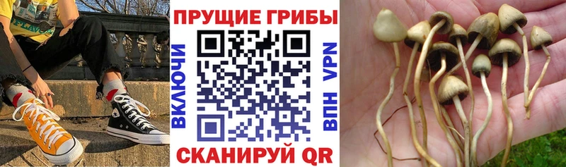 Псилоцибиновые грибы ЛСД  Елабуга 